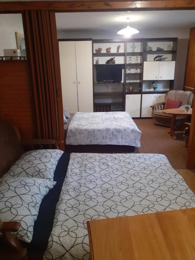 Sokol Apartment Ogulin Exterior photo